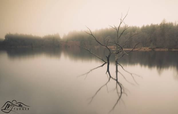 Simpson Ground Reservoir