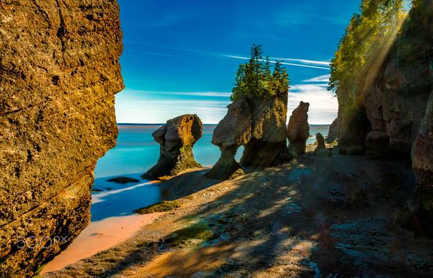 Hopewell Rocks at Low Tide LE