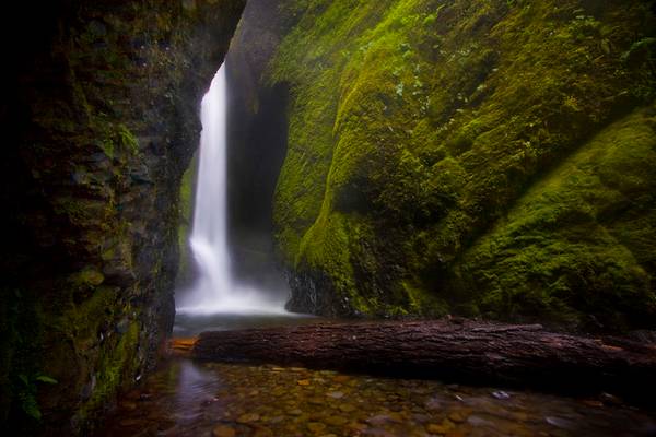 Summer in the Oneonta Gorge