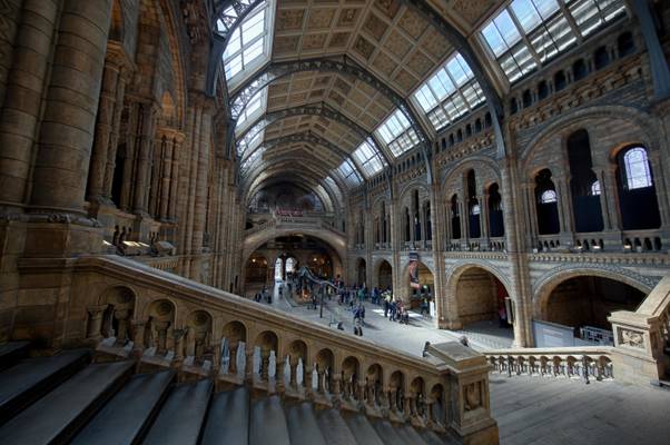 Natural History Museum