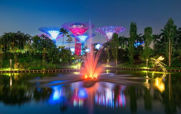 _MG_5560_web - Singapore Gardens by the Bay at night