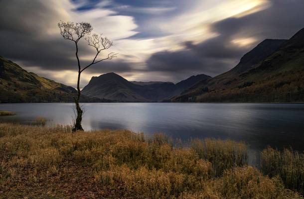 Lone Tree, Buttermere, Lake District