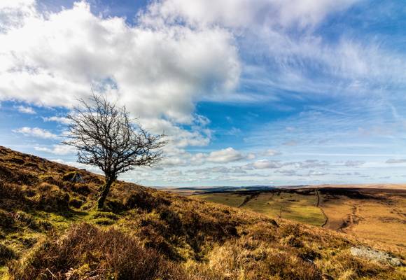 Dartmoor National Park, England