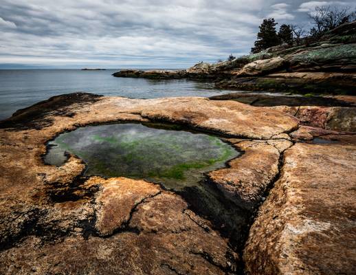 Rocky Neck Tide Pool