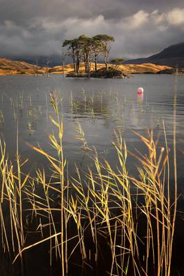 Tree Island, Loch Assynt, Scotland