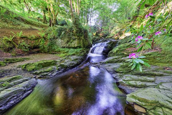 The "Devil's Coffin" Burn & Waterfall - Strabane