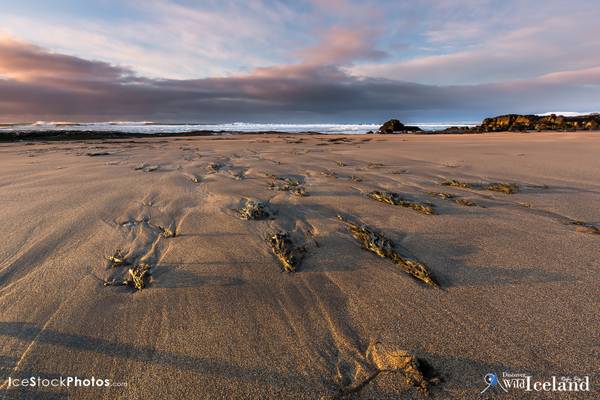 Víðisandur Beach - Reykjanes - Iceland