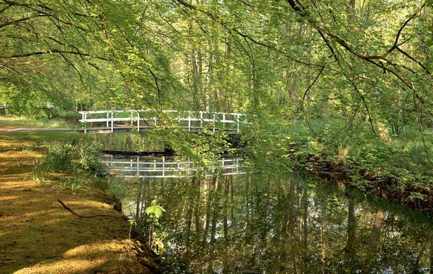 The Japanese Garden, The Hague, The Netherlands