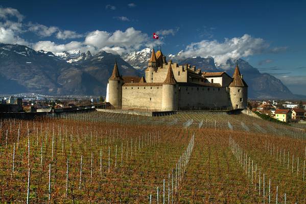 Castle among Vineyards
