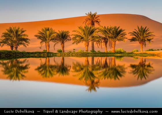 United Arab Emirates - UAE - Al Ain desert oases with palm trees