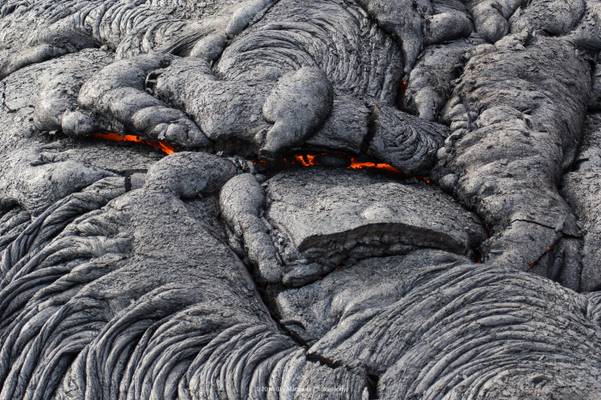 Lava Creatures: Elephant Cylon