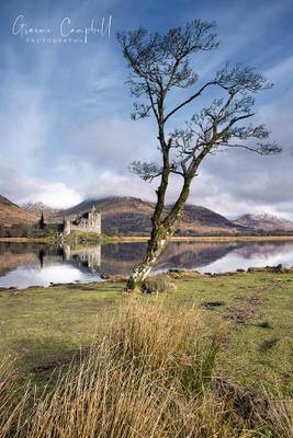 Kilchurn Castle Tree