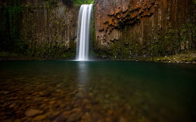 A Dreamy Summer Morning