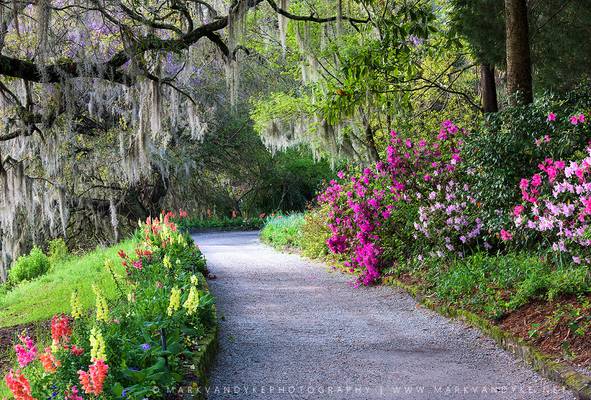 Charleston SC Spring Lowcountry Walkway