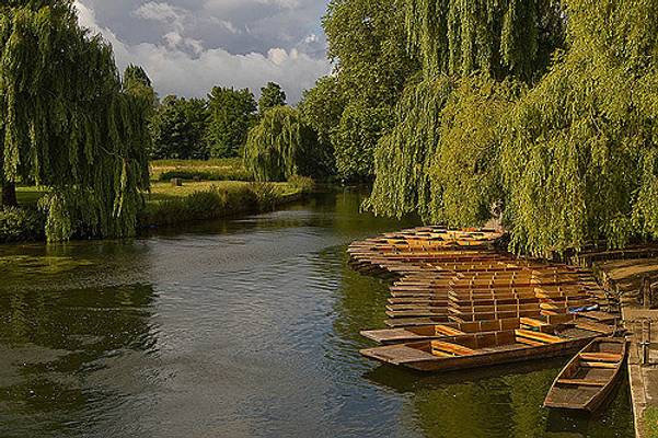 Punts on the River Cam