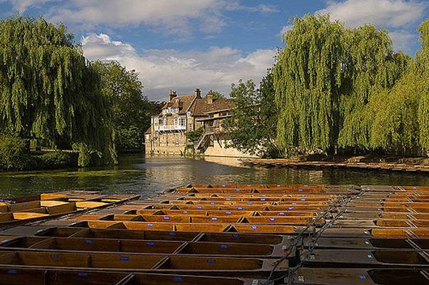Punts on the River Cam II