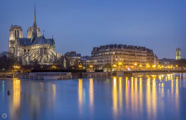 Notre-Dame, Flood in Paris Act 13 [FR]