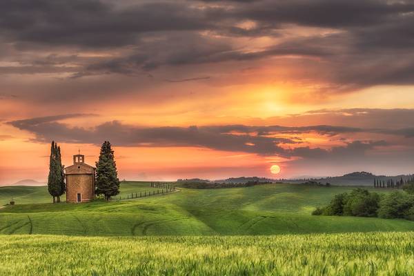 Under the Tuscan ....