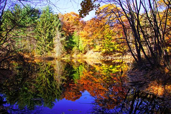 Colourful reflections, Brett Woods pond, Connecticut