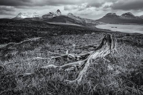 Tree Stump and Stormy Stac Pollaidh