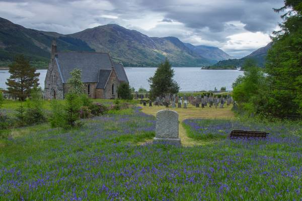 Bluebells at Ballachulish