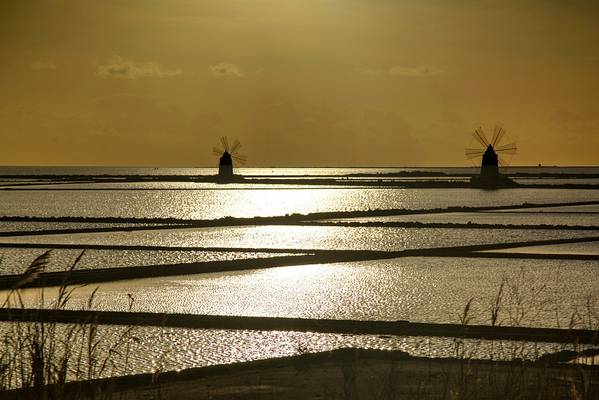 Saline Sunset