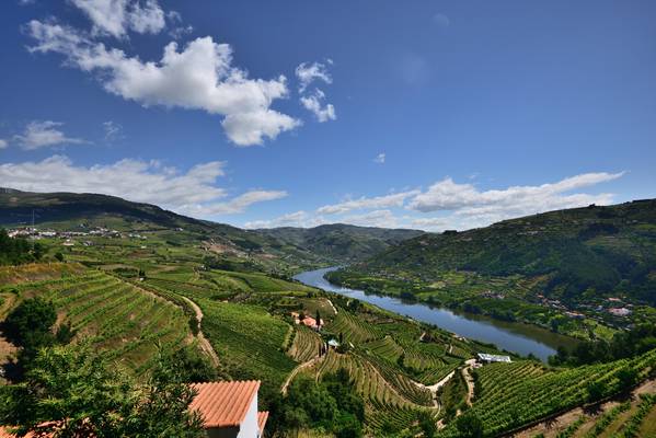 View from Mesão Frio on the Douro valley, Portugal