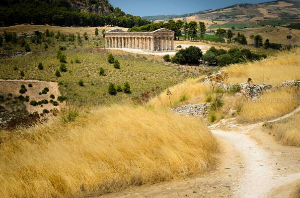 Tempio di Segesta