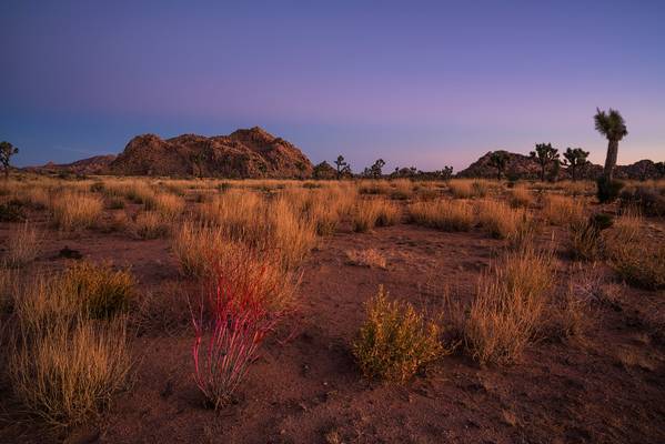 First Light In The Desert [EXPLORED]