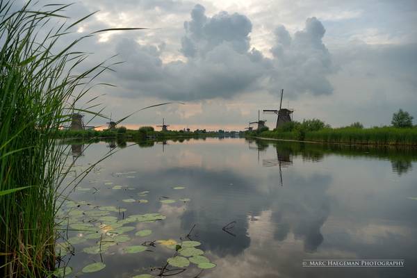 Kinderdijk