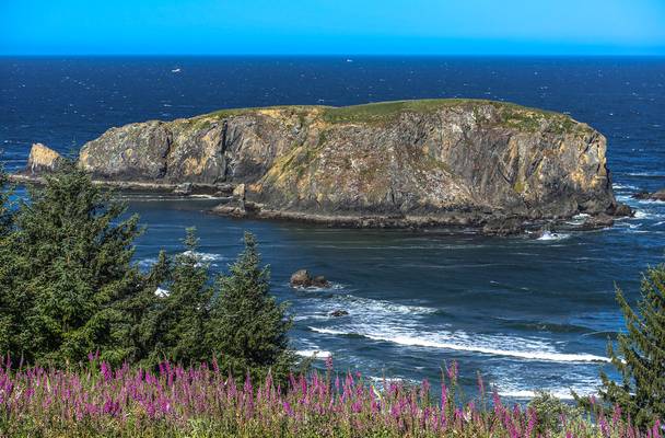 Whale Rock Overlook