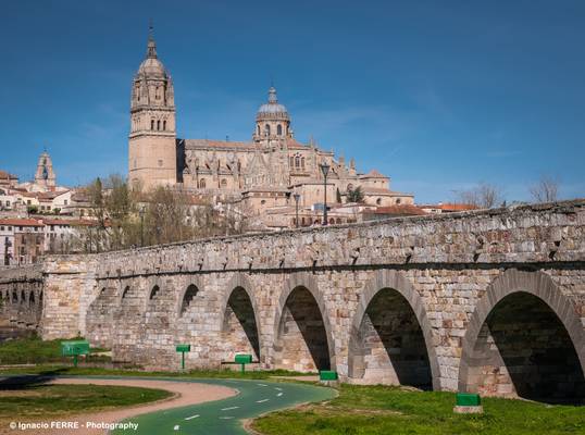 Cathedral and Roman bridge (Salamanca, Spain)