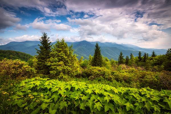 Mount Mitchell Asheville NC Blue Ridge Parkway Mountains Landscape