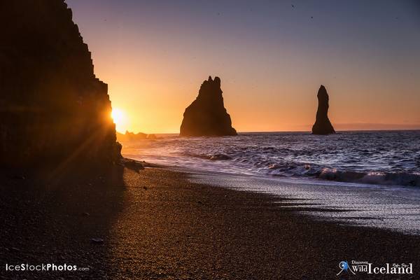 Discover Wild Iceland – Like Reynisfjara shore