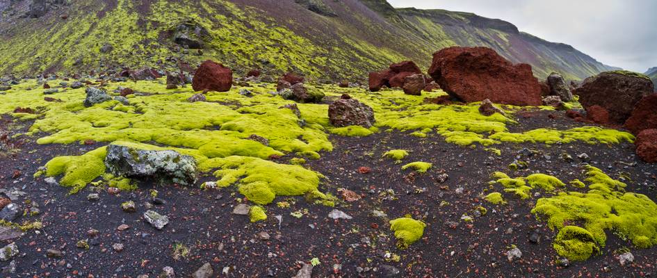 Colors of Iceland, Vatnajökull National Park