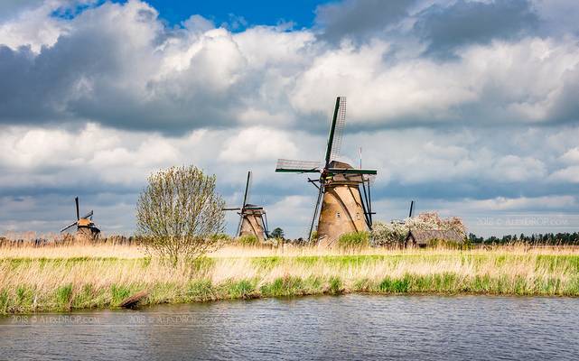 _DSC0424 - Kinderdijk windmills