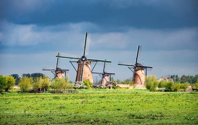 _DSC0380 - Kinderdijk windmills