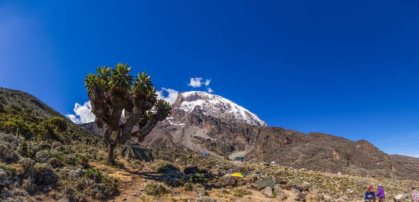 Kilimandjaro - Barranco Camp