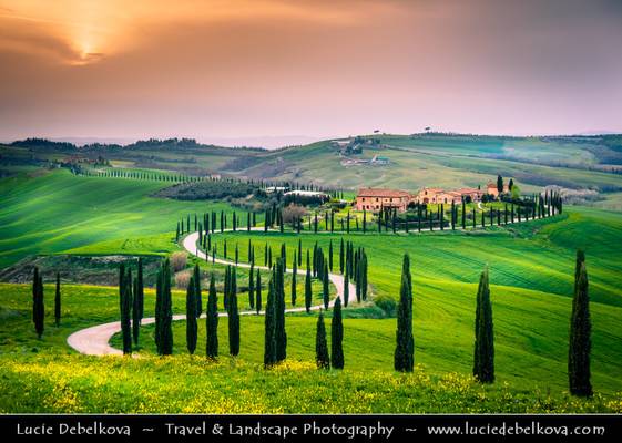Italy - Tuscany - Toscana - Curvy road of Val d'Orcia at Sunset