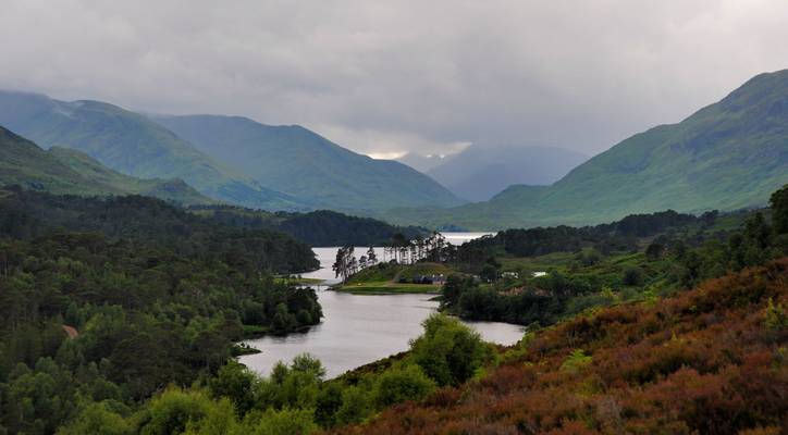 Glen Affric