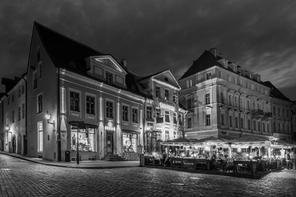 Tallinn Nights