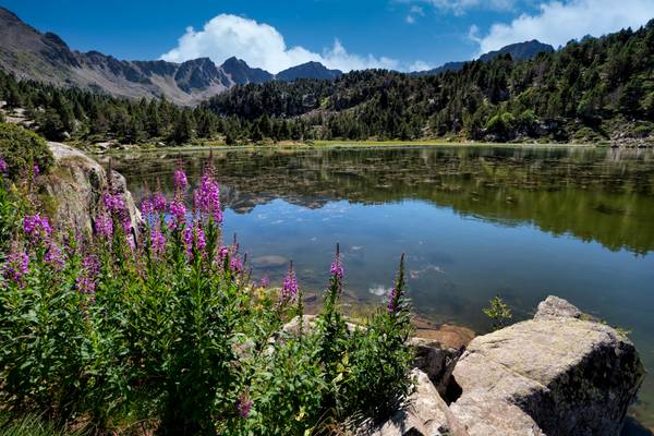 Llac Dels Pessons, Andorra