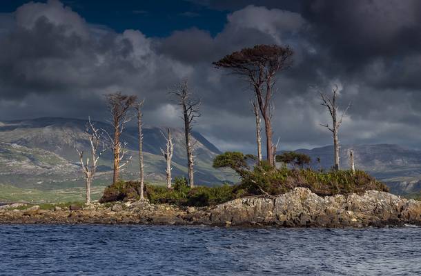 Loch Assynt Island.