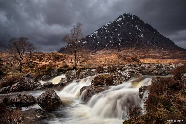 in the magic realm of goblins