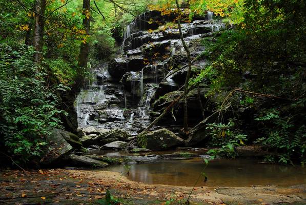 Yellow Branch Falls