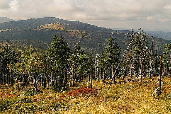 From the Slopes of Maly Sisak