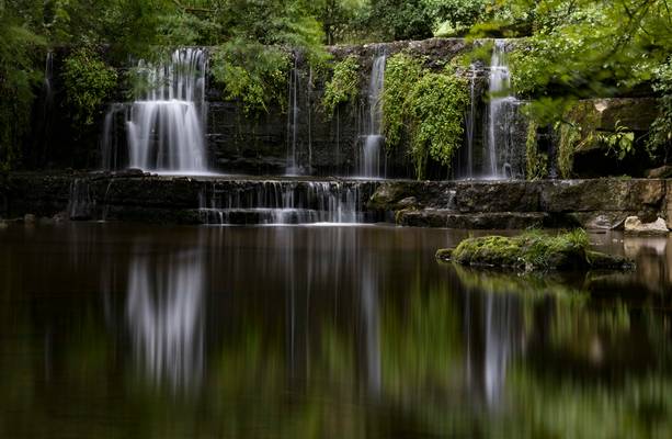 Nidd Reflections