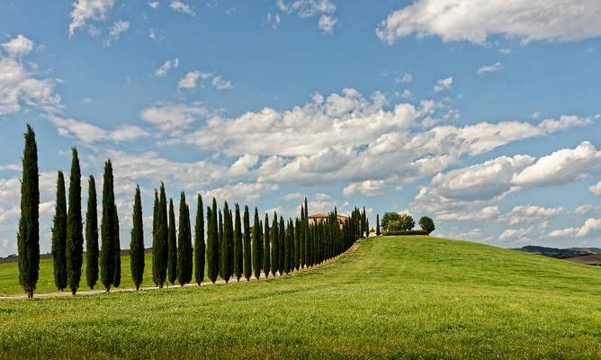 Poggio Covili with the Cypress lane from the right