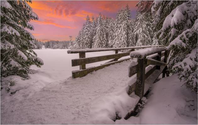 Etang de la Gruère