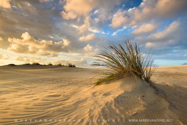 Jockey's Ridge State Park OBX North Carolina